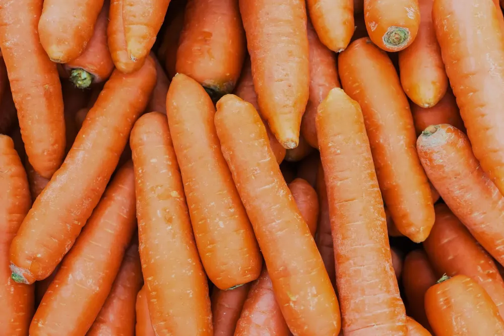 carottes