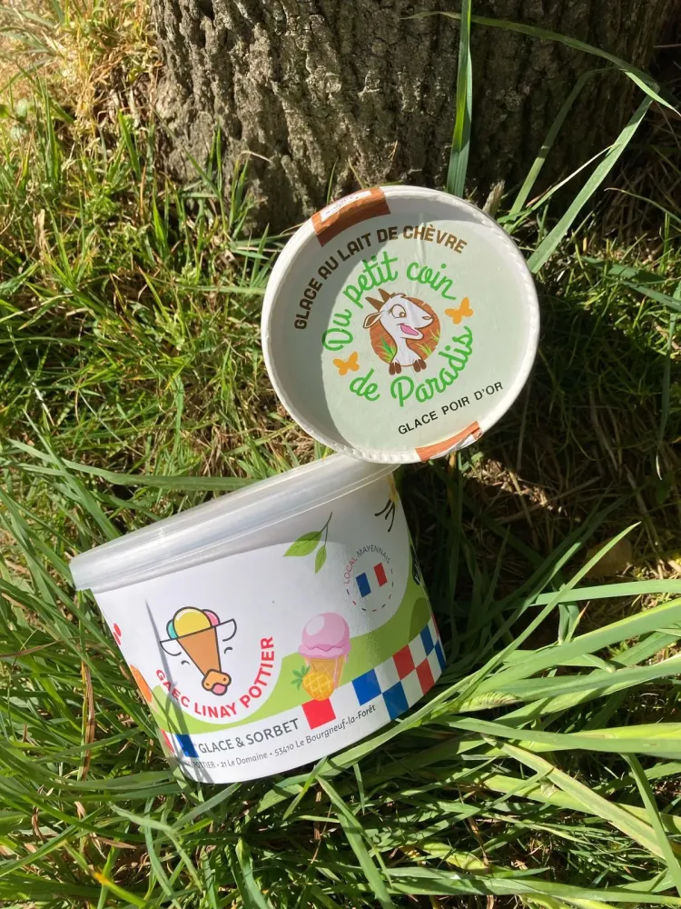 Glaces