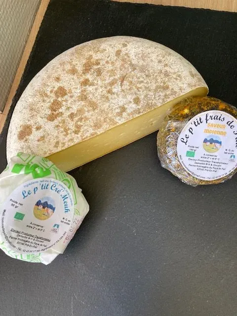produits laitiers (2)