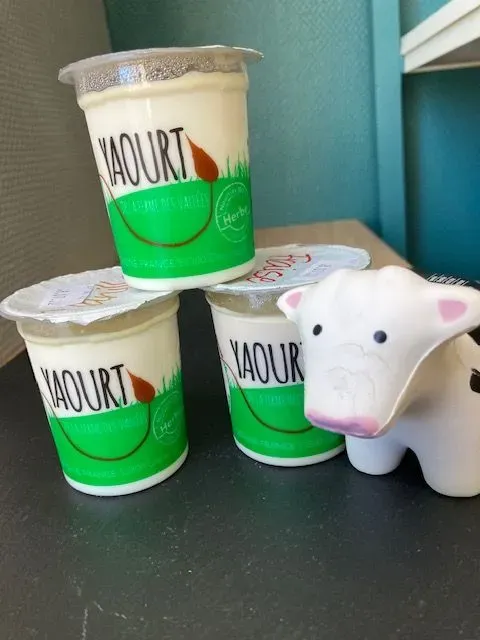 produits laitiers (7)